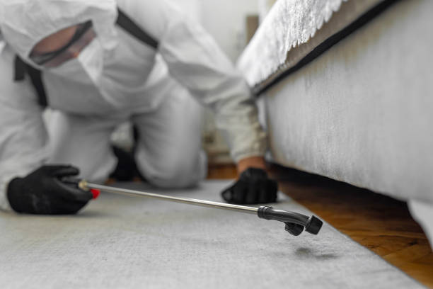 Professional Bed Bug Control technician working in Pinson, AL